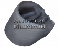 Копыто зебра