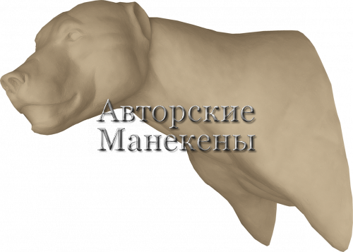 Манекен медведь бурый МДВТ-4 Л