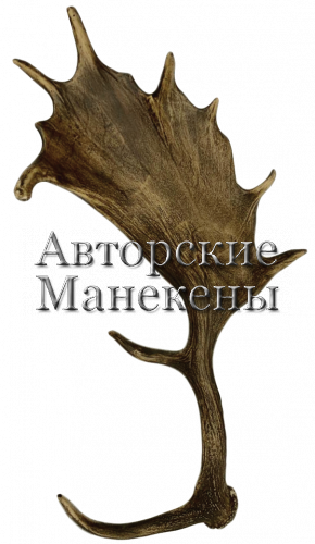 Рог лань №3