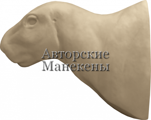 Манекен капибара КАПТ-1