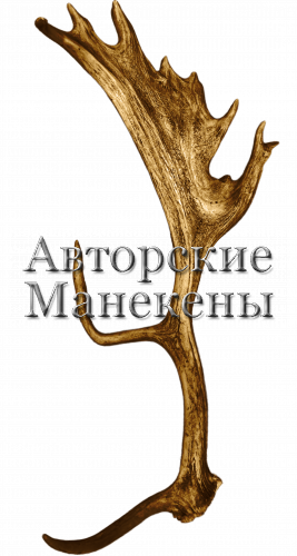 Рог лань №5