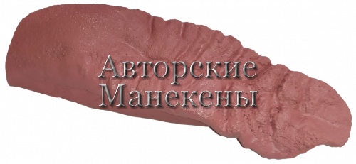 Язык медведь ЯМД-6