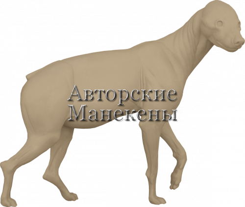 Манекен гиена пятнистая ГИПМ-1 П