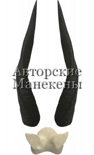 Рога бушбок с лобовиной