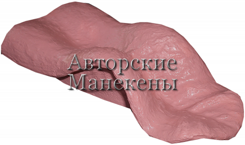 Язык медведь ЯМД-2