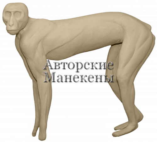 Манекен верветка ВРВМ-1 Л