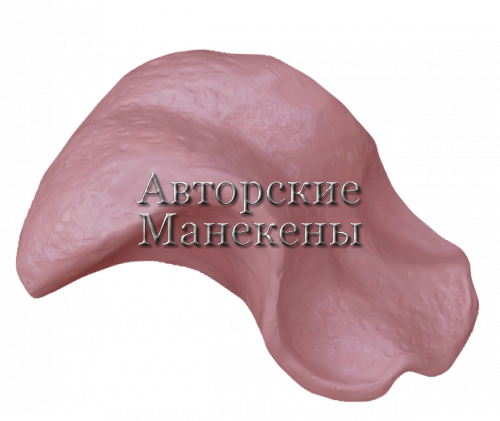 Язык леопард ЯЛП-1