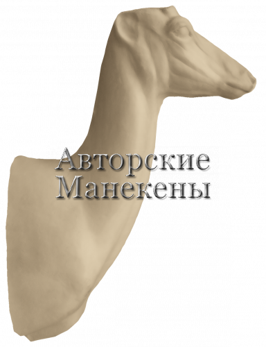 Манекен косуля сибирская КССТ-1