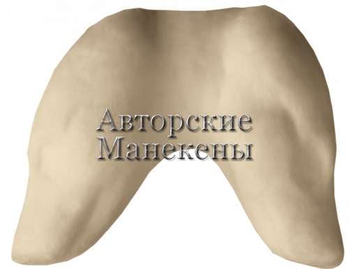Манекен куница лесная КУЛТ-1