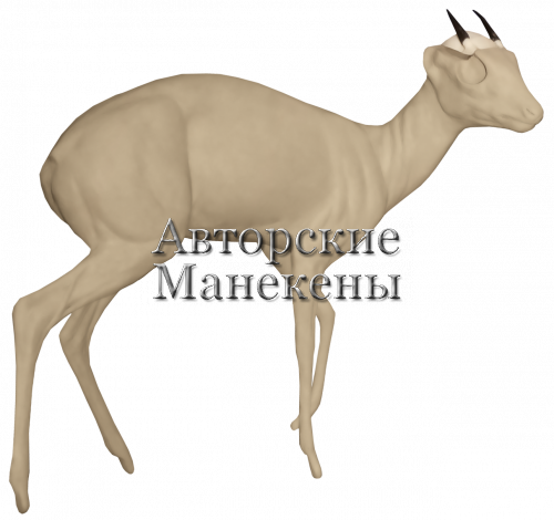 Манекен антилопа-крошка (Бейтса) АКРМ-1 П