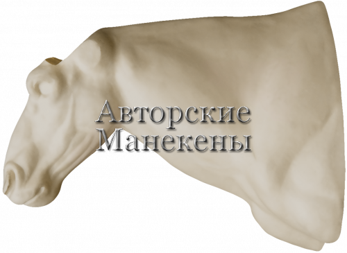 Манекен гну черный (белохвостый) ГНБТ-1