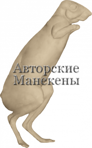 Манекен долгоног капский (спрингхеа) КПДМ-1