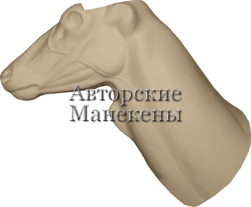 Манекен лань ЛАНТ-2 П