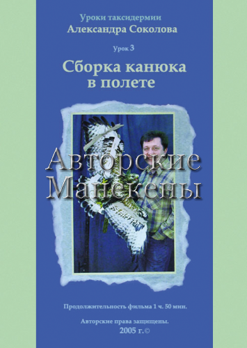 Видеоурок №3 "Сборка канюка в полете"