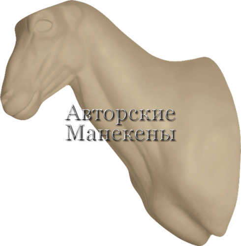 Манекен мархур (винторогий козел) МРХТ-1