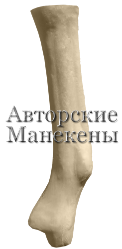Нога иланд