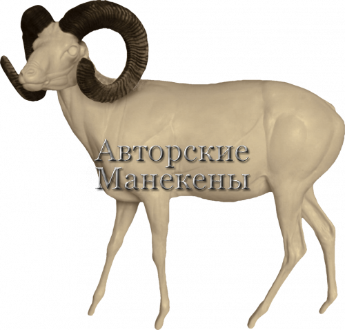 Манекен муфлон европейский МФЕМ-2 Л