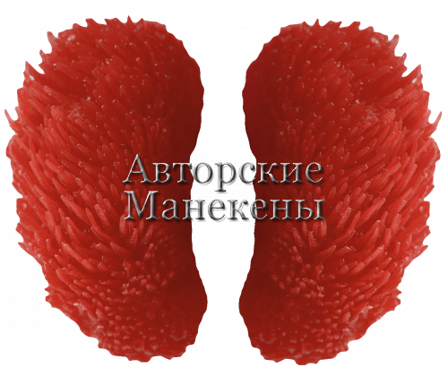Брови тетерев