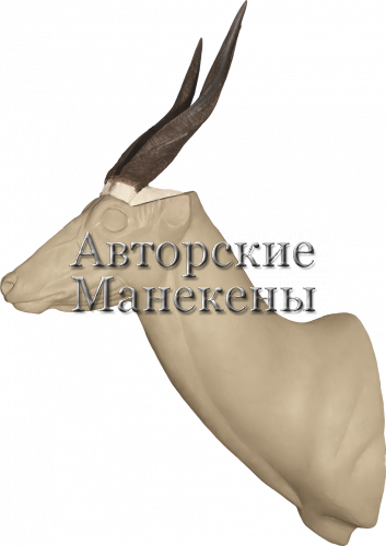 Манекен бушбок БШБТ-2
