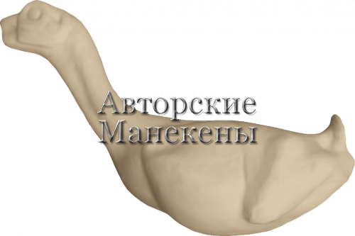 Манекен глухарь обыкновенный ГЛОМ-1
