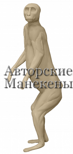 Манекен верветка (самка) ВРВМ-2 Л