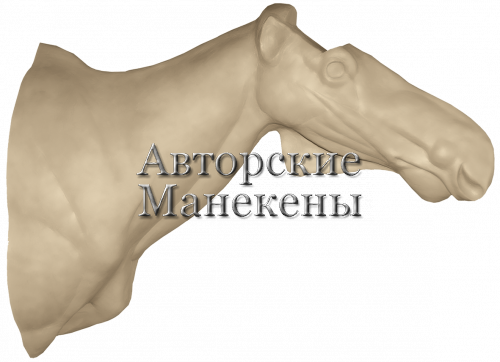 Манекен лось европейский ЛСЕТ-6