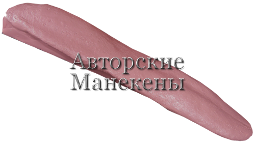 Язык лось европейский ЯЛО-1
