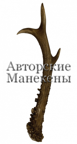 Рог косуля №4 (сибирская)