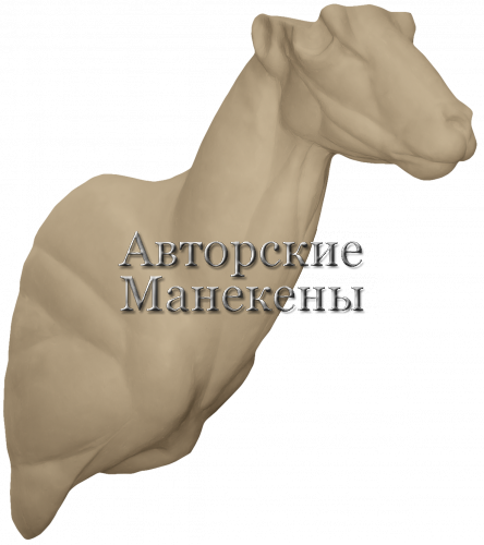 Манекен муфлон европейский МФЕТ-4 П