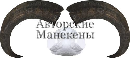 Рога аудад (баран гривистый) с лобовиной