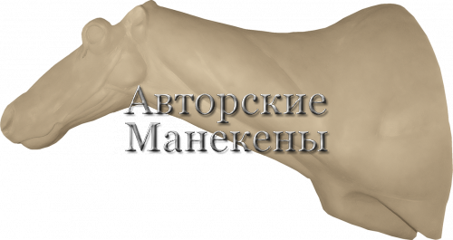 Манекен олень северный СОЛТ-2