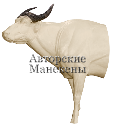 Манекен буйвол саванный БФКМ-1 Л 1/2