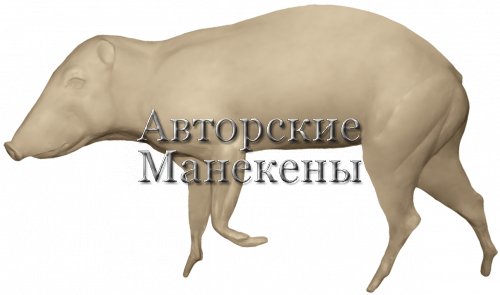 Манекен пекари ошейниковый ПКОМ-1 Л