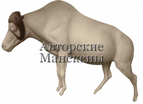 Манекен овцебык ОВЦМ-1
