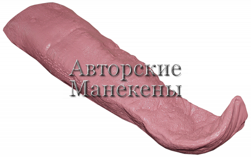 Язык кабан ЯКБ-3