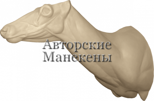 Манекен марал (вапити) МРЛТ-3 П