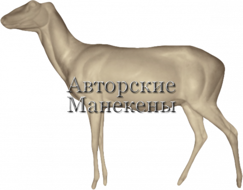 Манекен олень благородный ОЛБМ-3 Л