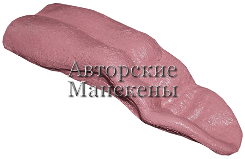 Язык кабан ЯКБ-2