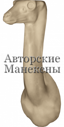 Манекен геренук ГРНТ-2 П