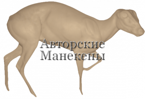 Манекен мунтжак китайский МУНМ-1 П