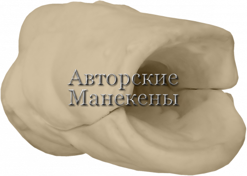Манекен сом СОМТ-7