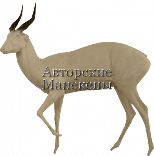 Манекен бушбок БШБМ-1 Л