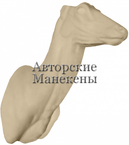 Манекен косуля сибирская КССТ-2
