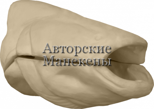 Манекен сом СОМТ-4