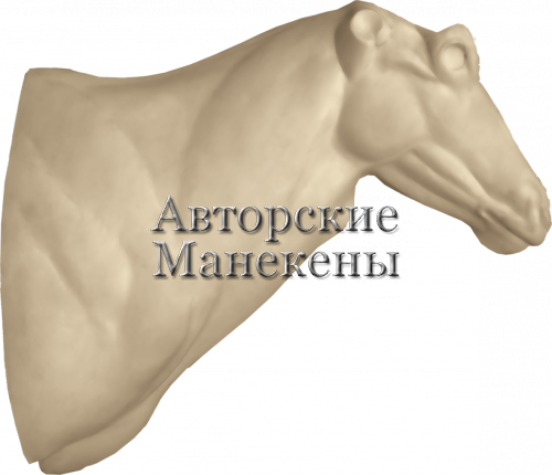 Манекен орикс обыкновенный ОРСТ-2