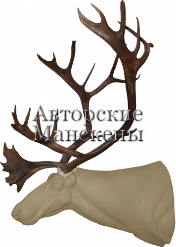 Манекен олень северный СОЛТ-4