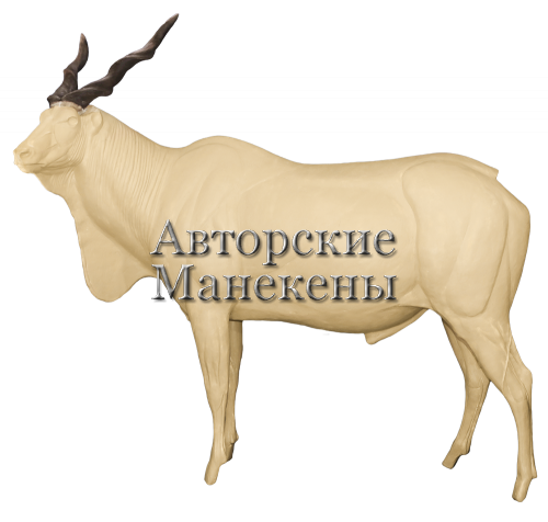Манекен иланд Лорд Дерби (канна) ИЛДМ-2 Л