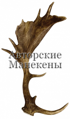 Рог лань №4