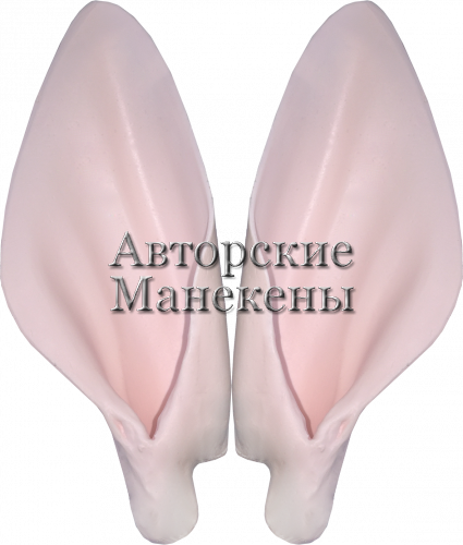 Уши олень пятнистый