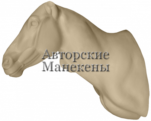 Манекен зебра горная ЗЕБТ-2